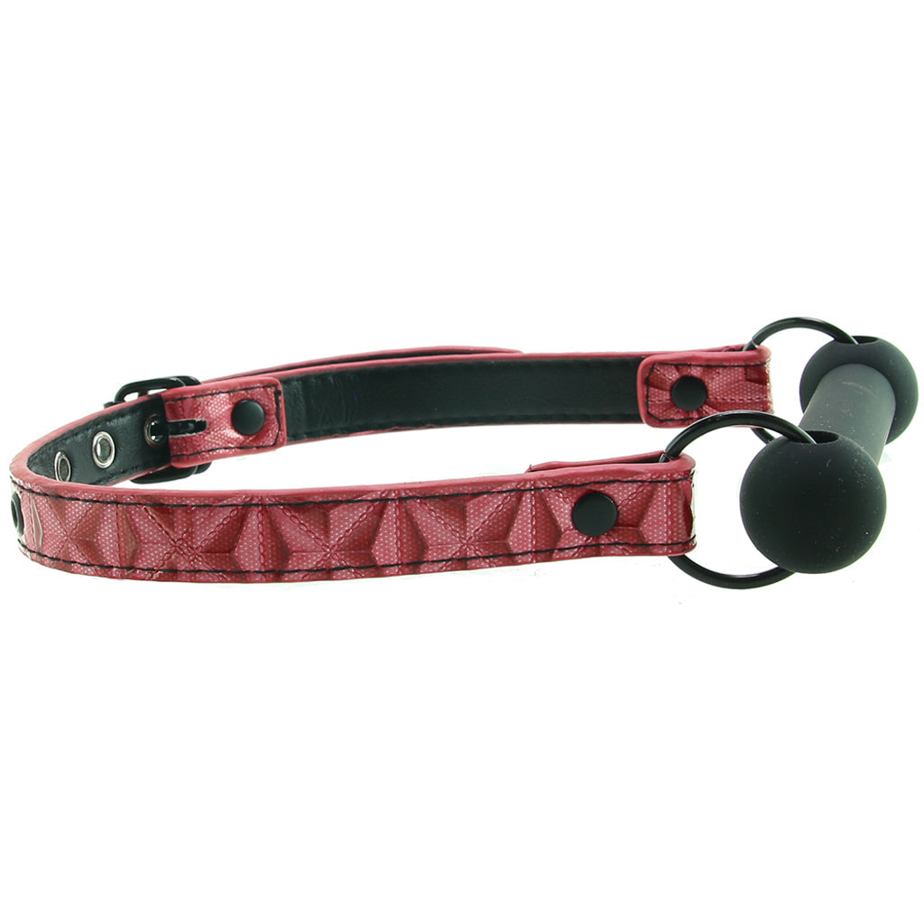 Sinful Bar Gag in Pink Bondage and Fetish > Ball Gags & Mouth Restraints