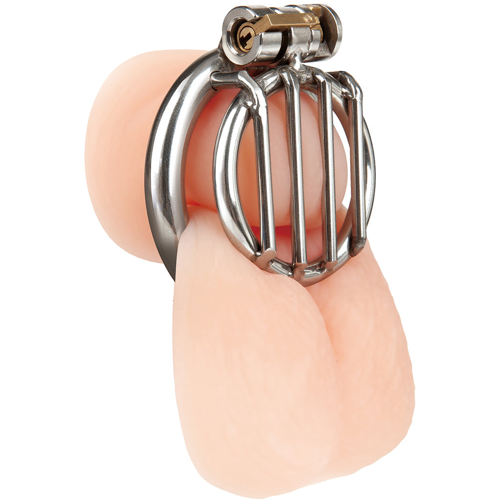 Blueline Stainless Steel Inverted Micro Jail Time Cock Cage Bondage and Fetish > Cock and Ball Devices