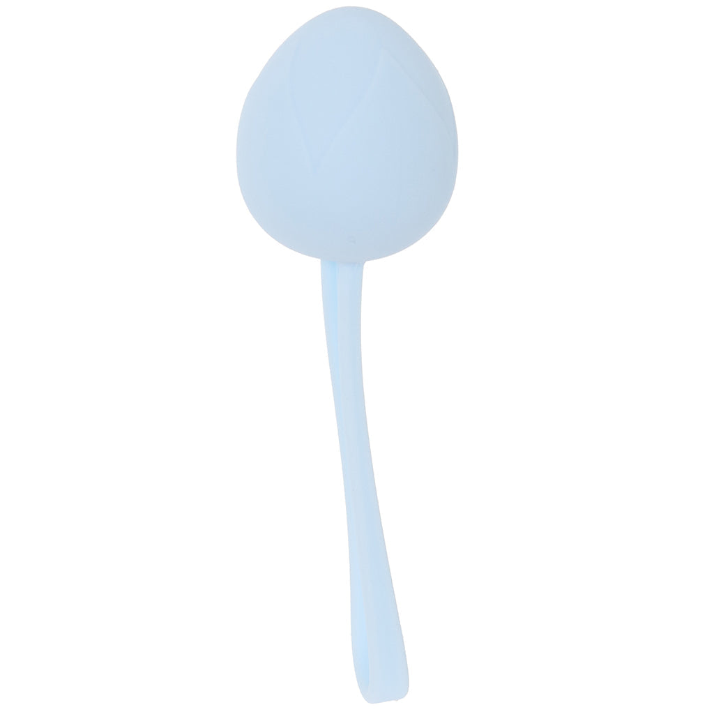Loveline Pelvifit Berry Kegel Kit Kegel, Ben Wa and Pelvic Health Tools