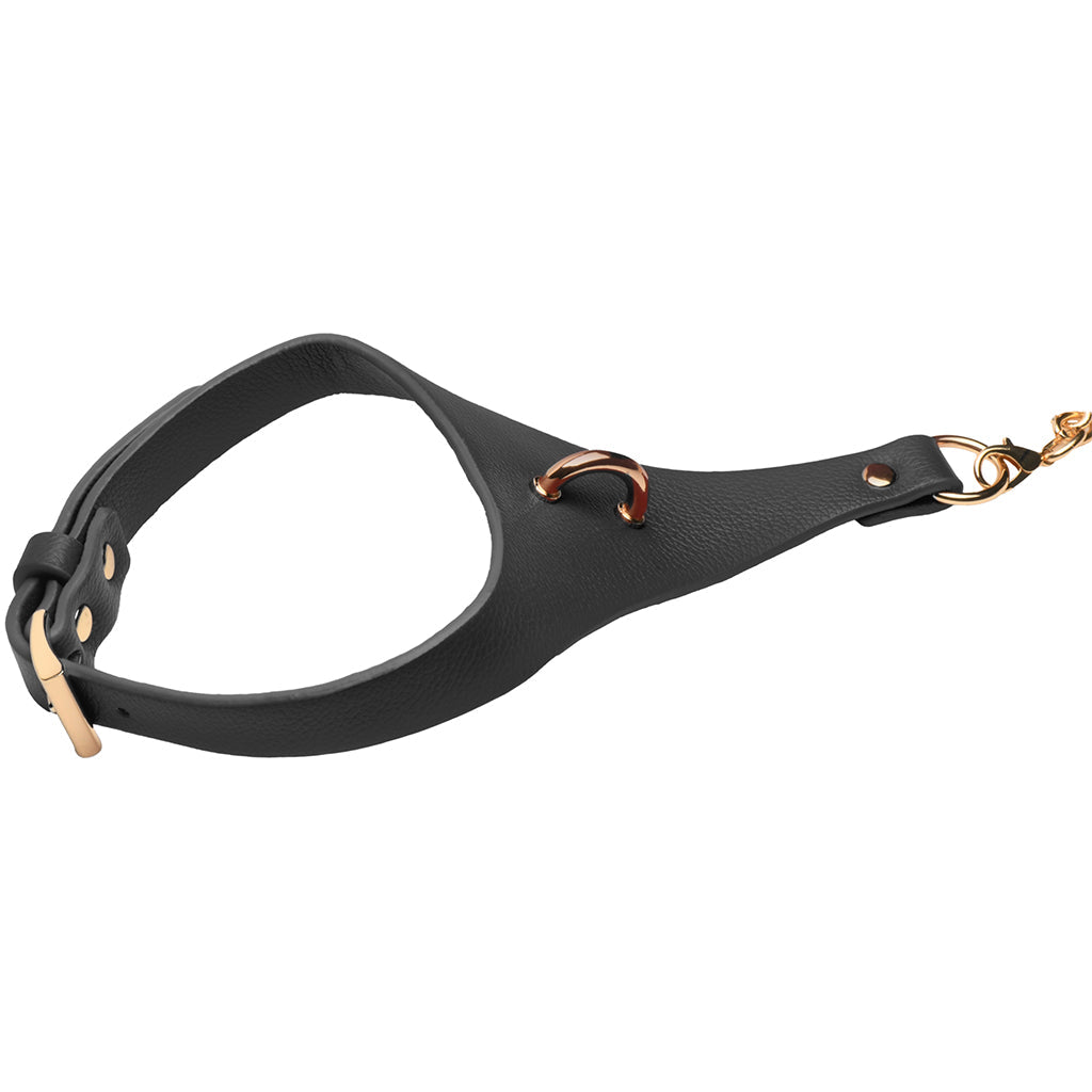 Master Series Captivate Collar with Body Chain in Black Bondage and Fetish > Leashes and Collars