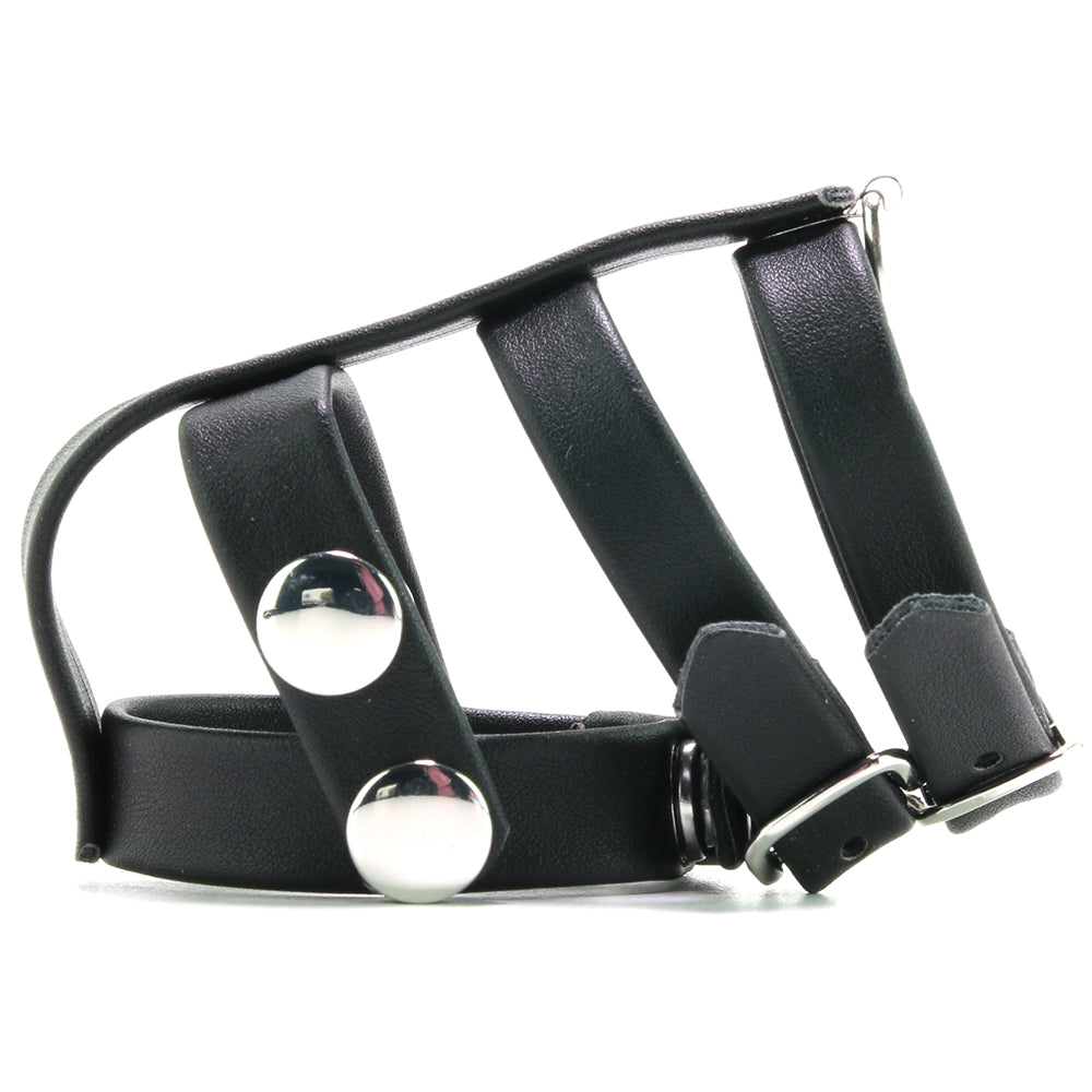 Blue Line Double Cock and Ball Strap with Leash Lead Bondage and Fetish > Cock and Ball Devices