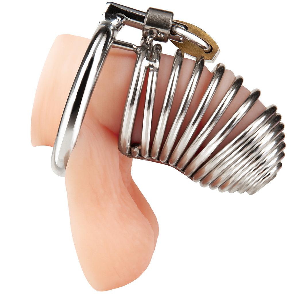 Blueline Prisoner Cock Cage Bondage and Fetish > Cock and Ball Devices
