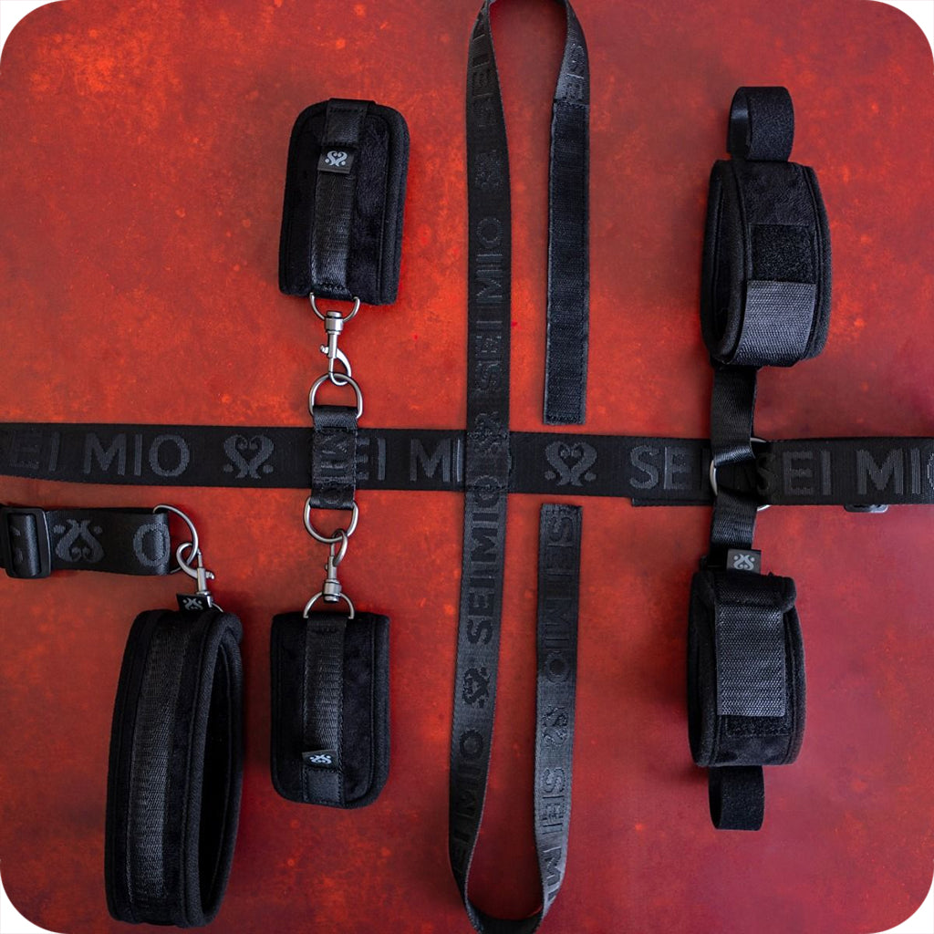 Sei Mio Seated & Mistreated Universal Chair Restraint