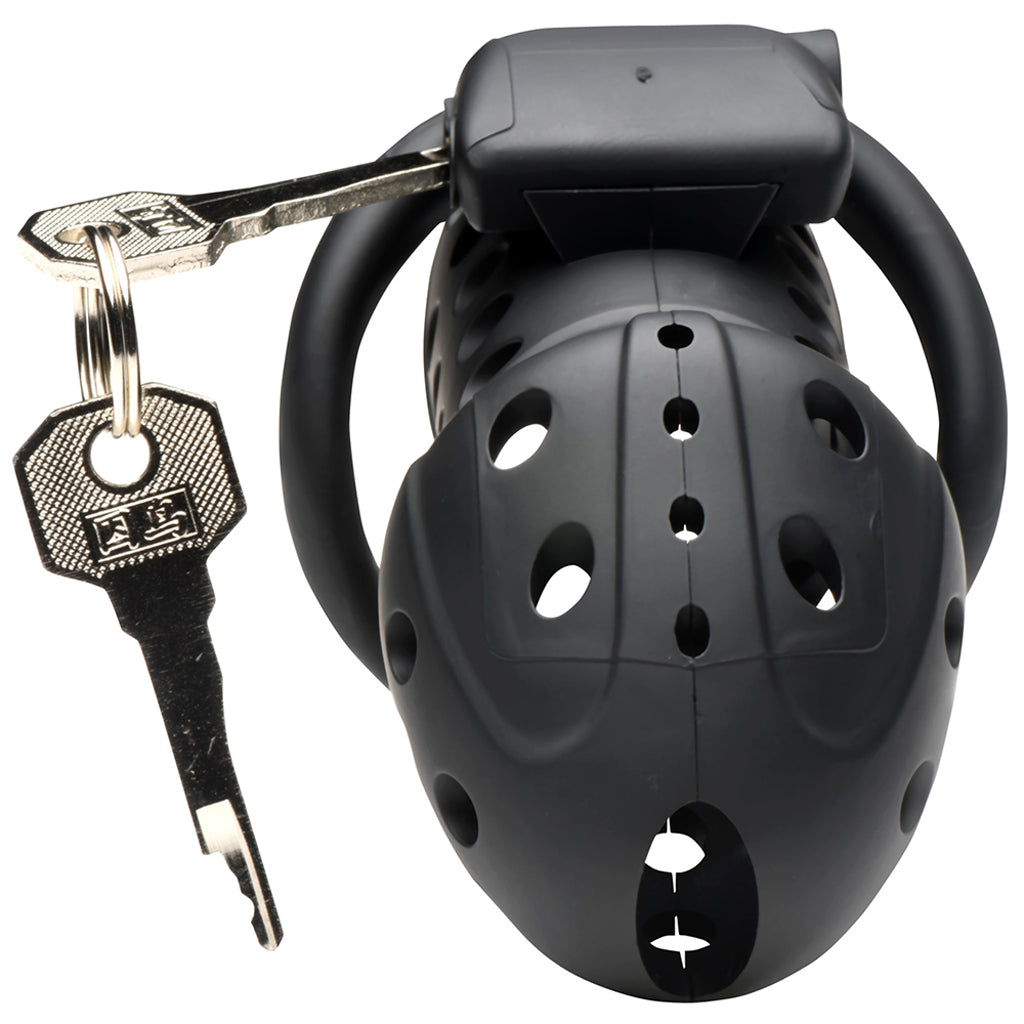 Master Series Lockdown Chastity Cage Bondage and Fetish > Cock and Ball Devices