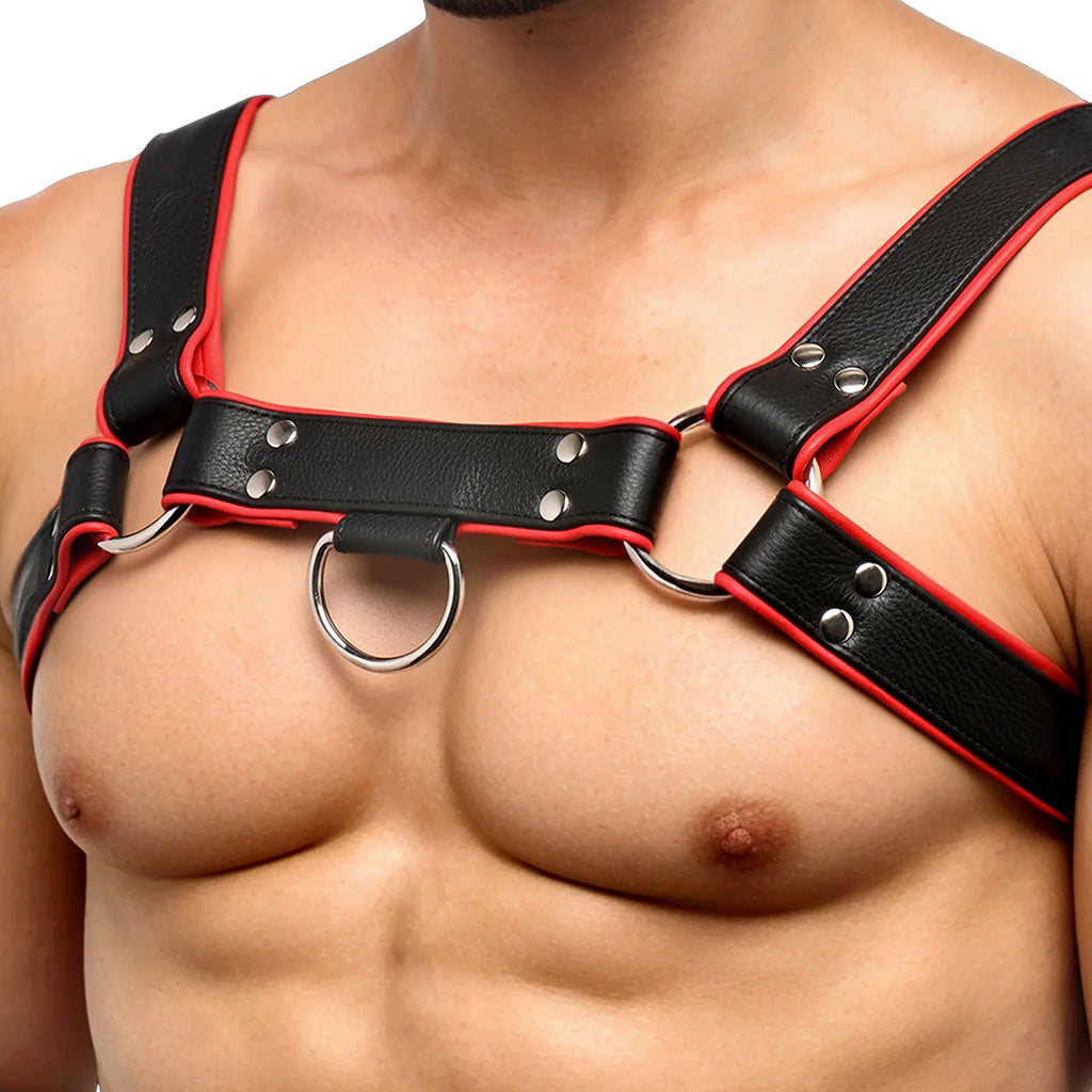 Strict Leather English Bulldog Harness Bondage and Fetish > Men's Bondage Wear