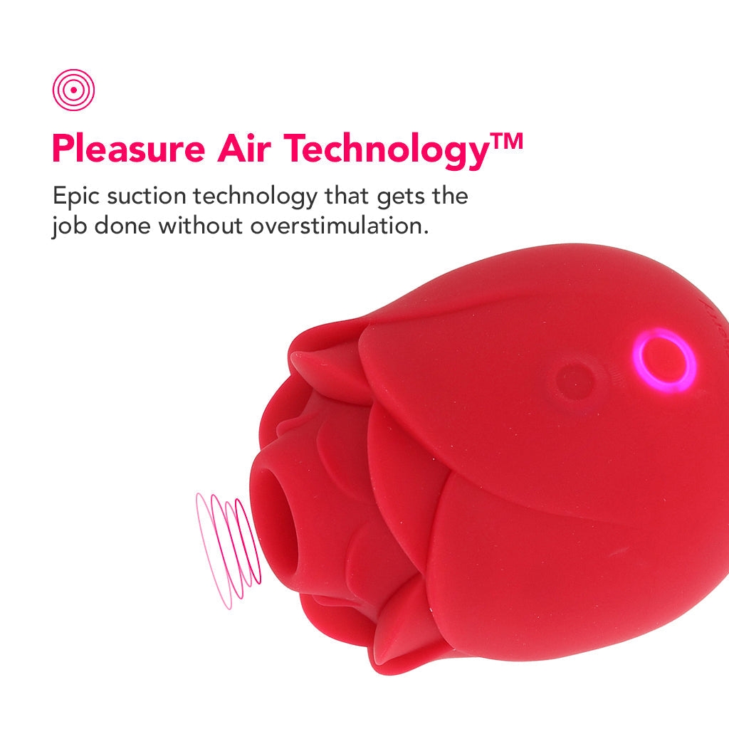 PinkCherry Rose Vibrator 2.0 Vibrators > Clitoral Stimulators