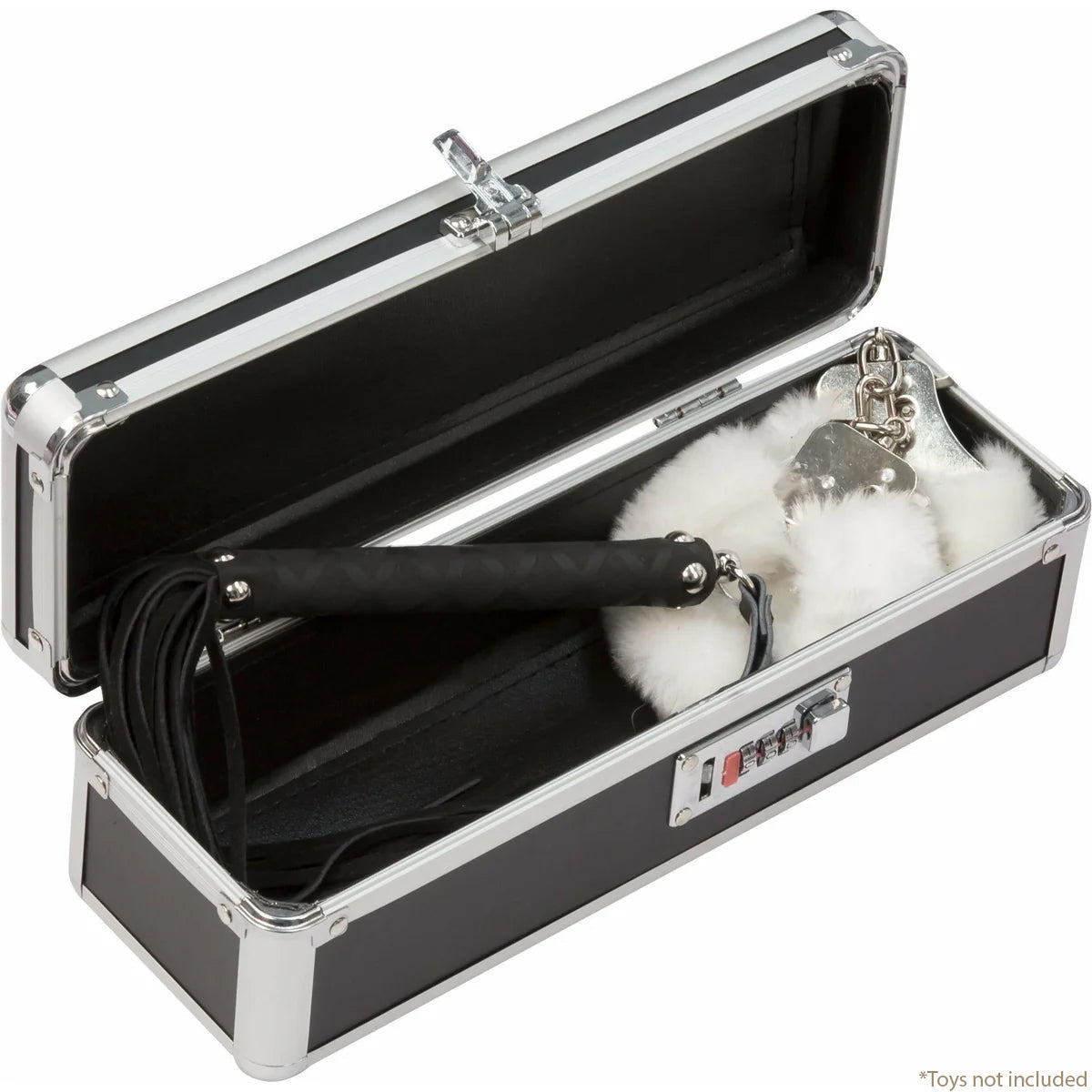 Simple and True Lockable Small Vibrator Case in Black Toy Storage