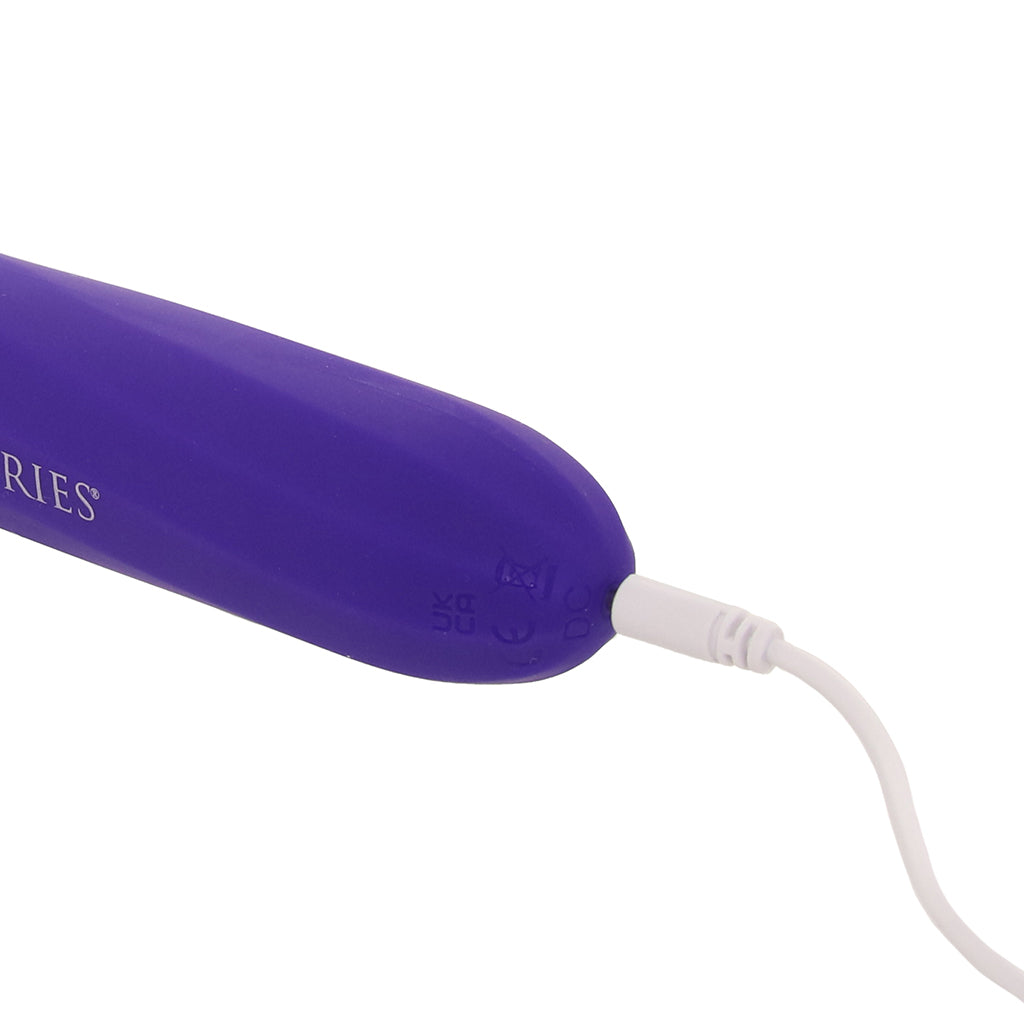 Master Series Electrawand E-Stim Set in Purple Bondage and Fetish > Electro Stim