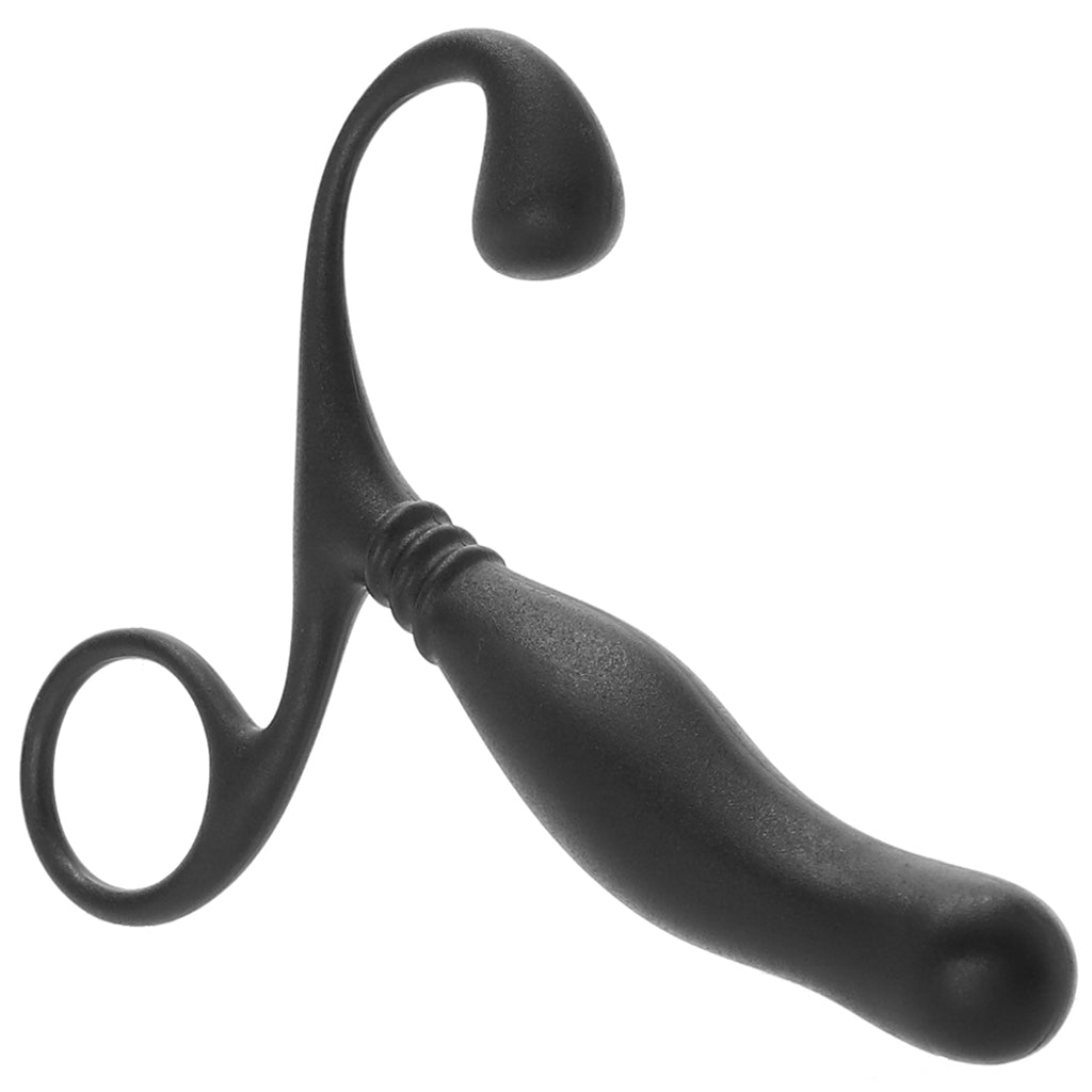Prostate Massager In A Bag Anal Sex Toys > Prostate Massagers
