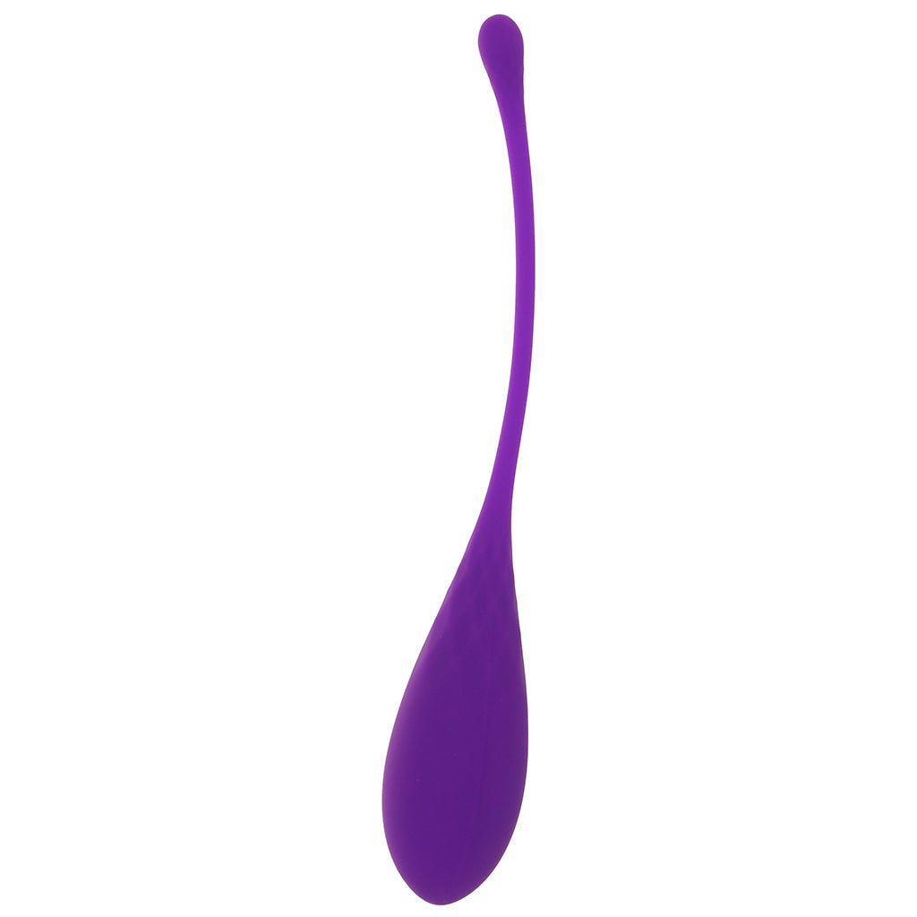Fantasy For Her Kegel Train-Her Set in Purple Kegel, Ben Wa and Pelvic Health Tools