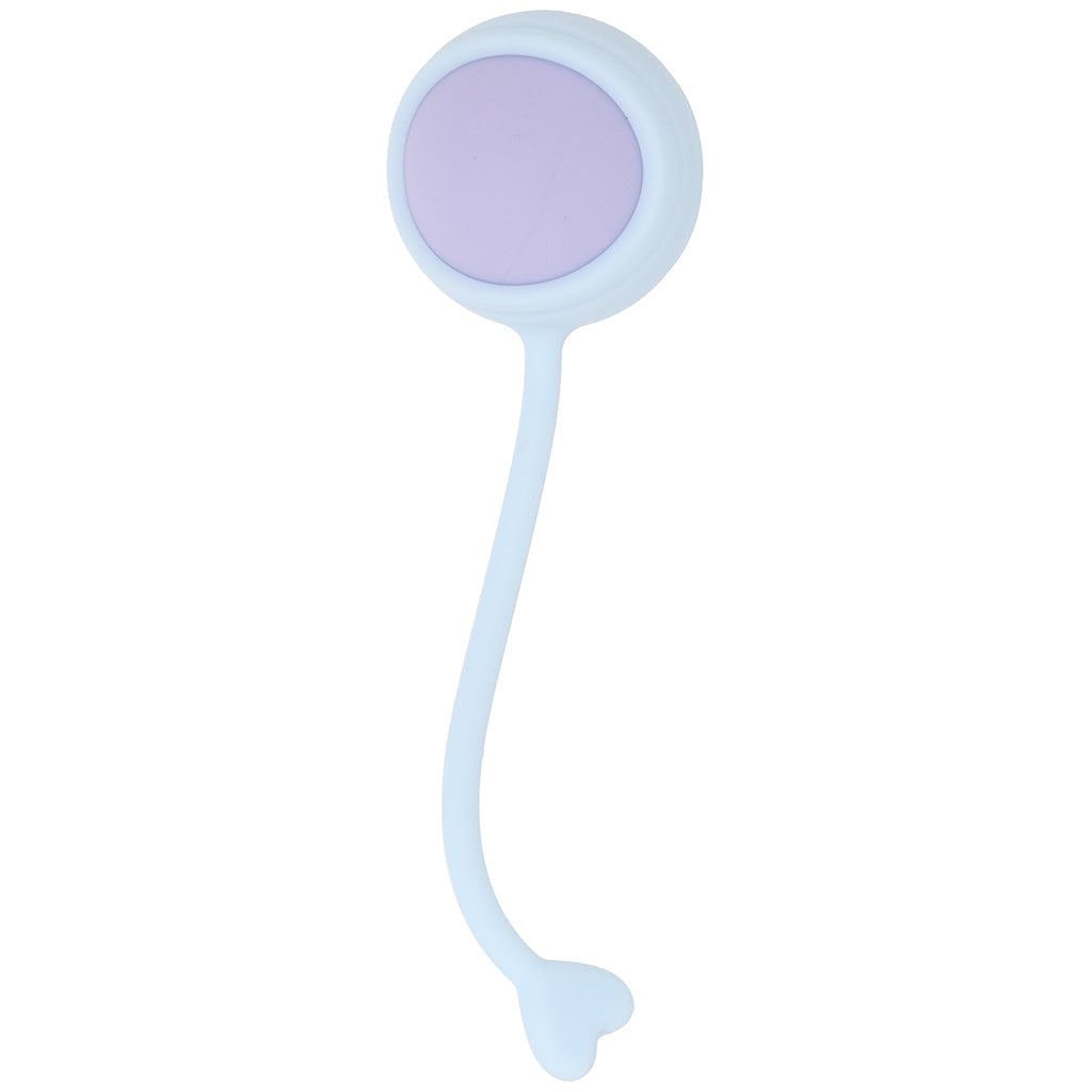 Loveline Pelvifit Strength Kegel Kit Kegel, Ben Wa and Pelvic Health Tools