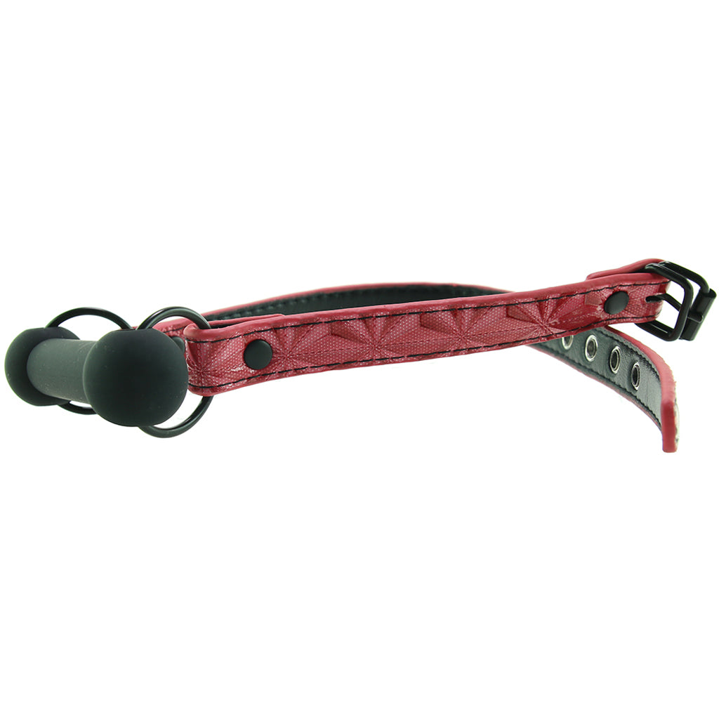 Sinful Bar Gag in Pink Bondage and Fetish > Ball Gags & Mouth Restraints
