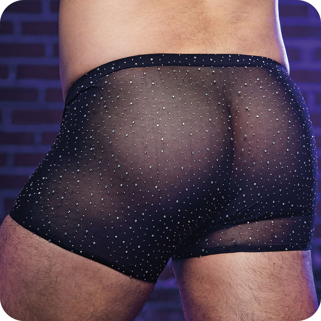 Radiance Boxer Briefs Lingerie > Lingerie