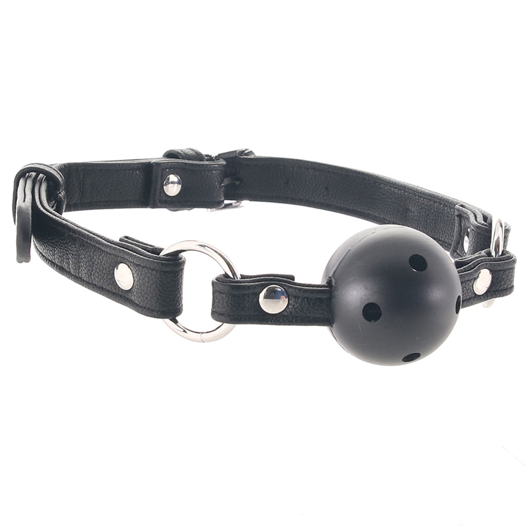 Ball Gag In A Bag Bondage and Fetish > Ball Gags & Mouth Restraints