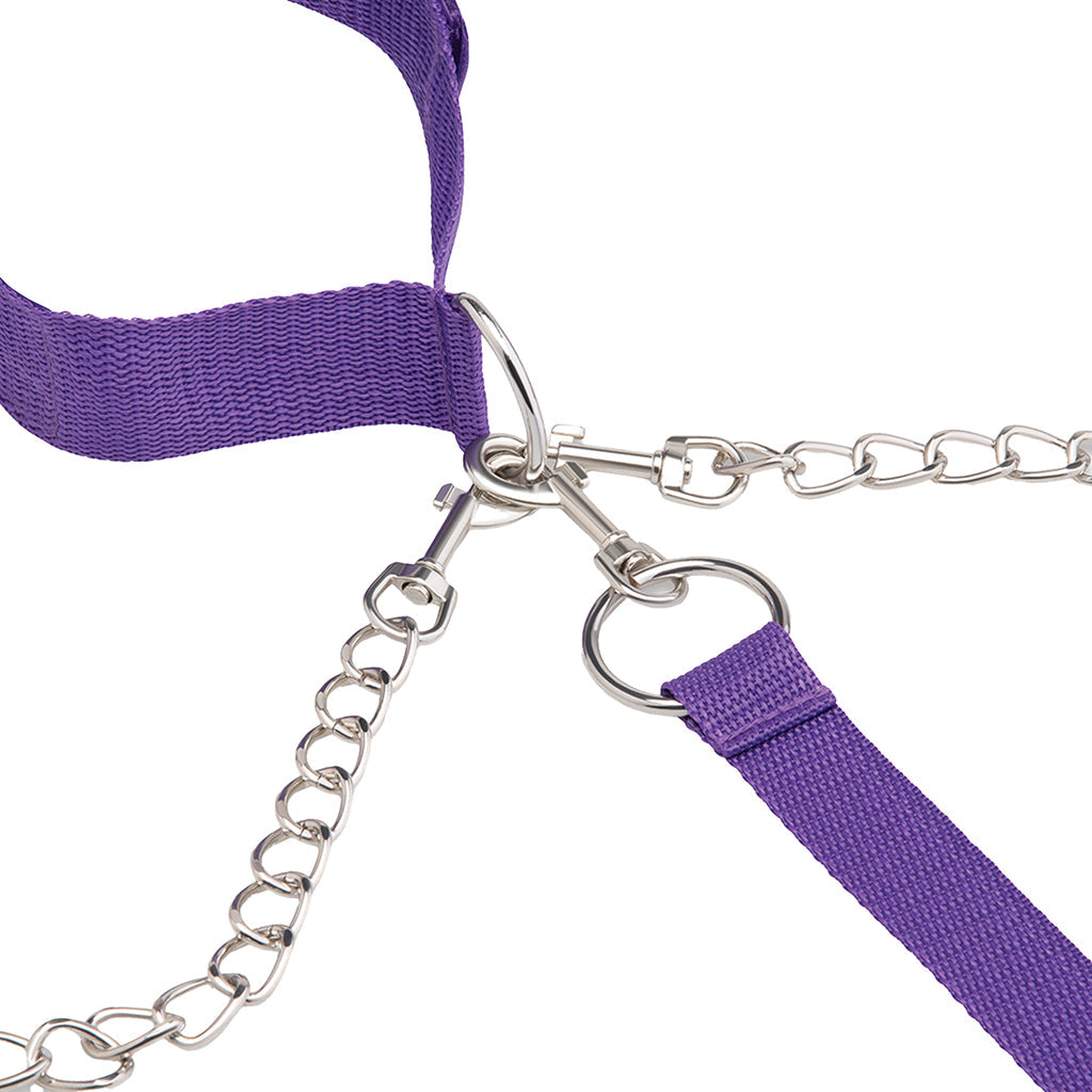 Collar, Cuff & Leash Set in Purple Bondage and Fetish > Leashes and Collars