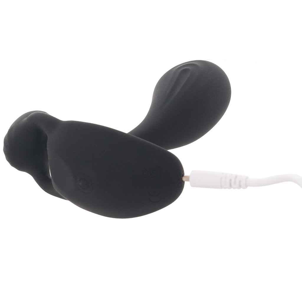 Renegade Echo Prostate Vibe Anal Sex Toys > Prostate Massagers