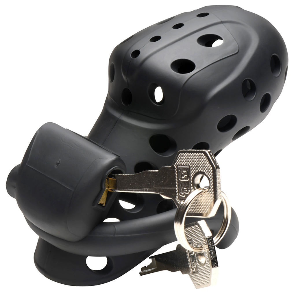 Master Series Lockdown Chastity Cage Bondage and Fetish > Cock and Ball Devices