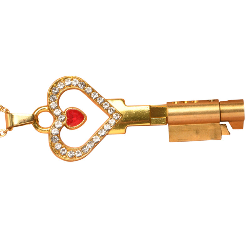 Master Series Possession Chastity Key Necklace Bondage and Fetish > Tools & Accessories