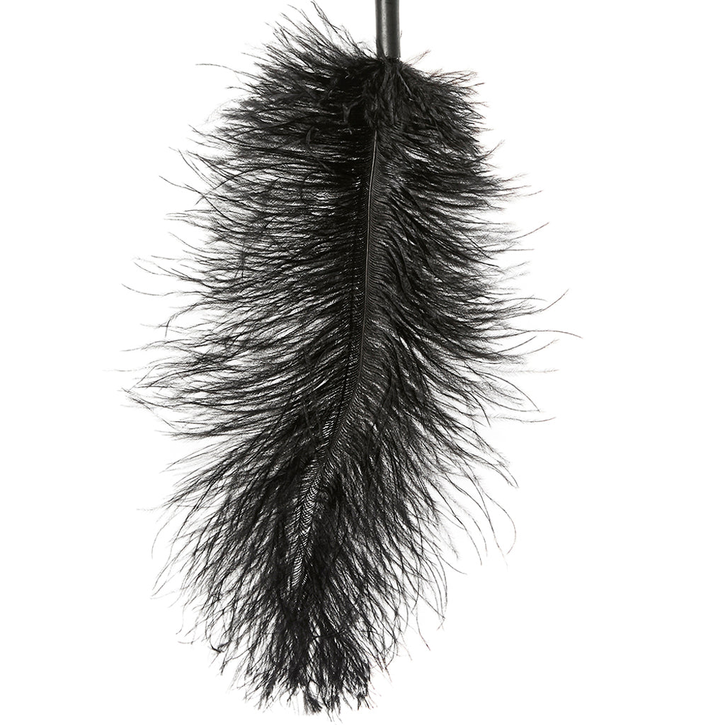 Ostrich Feather Body Tickler in Black Bondage and Fetish > Tools & Accessories