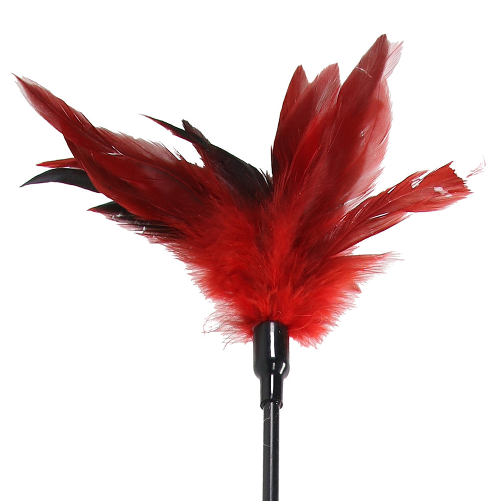Sex & Mischief Feather Slapper Bondage and Fetish > Whips and Crops