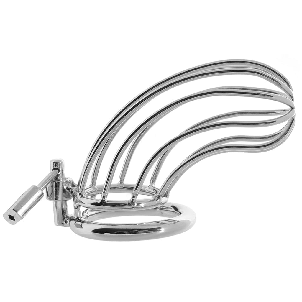 Blue Line Prisoner Cock Cage in Silver Bondage and Fetish > Cock and Ball Devices
