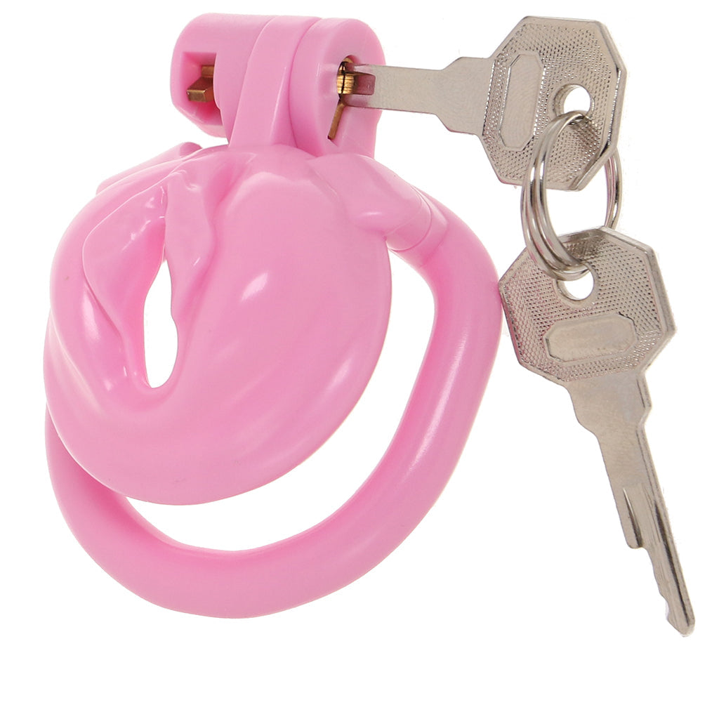 Blueline Bitchboy Degrading Mini Chastity Cage Bondage and Fetish > Cock and Ball Devices