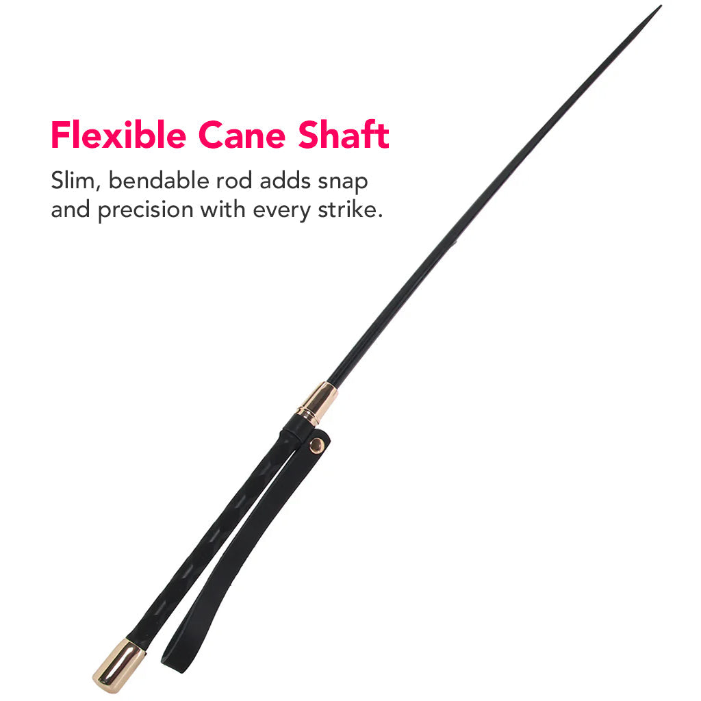 Master Series Sinful Impact Cane in Black Bondage and Fetish > Whips and Crops