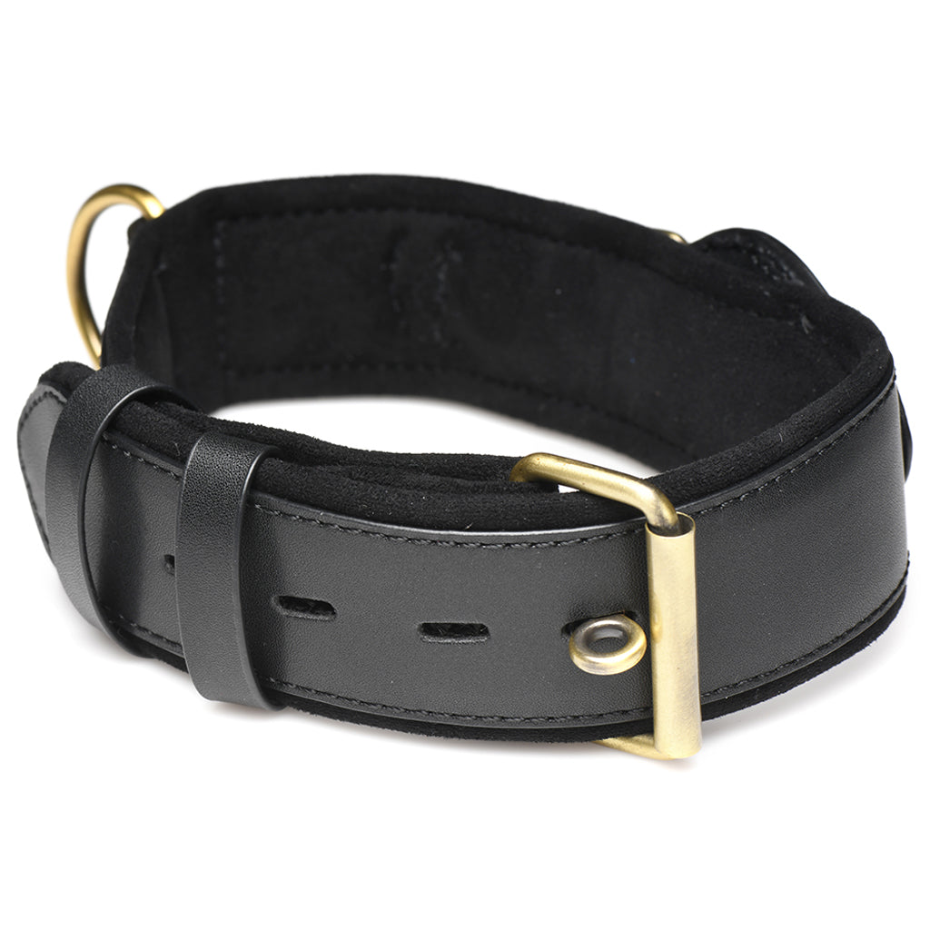 Master Series Tracer Tracking Collar Bondage and Fetish > Leashes and Collars