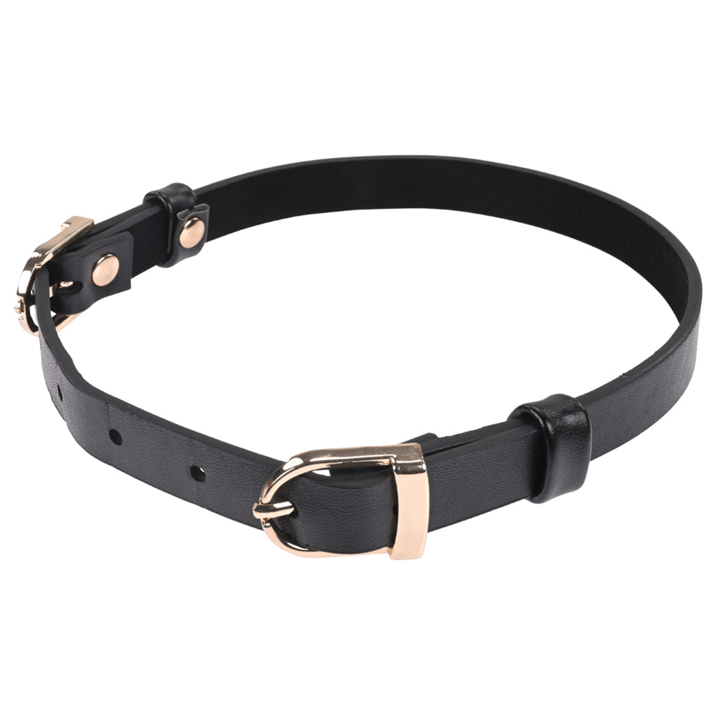 Sex & Mischief Double Buckle Day Collar Bondage and Fetish > Leashes and Collars