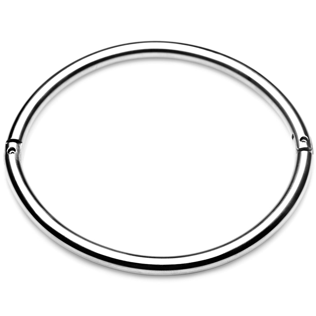 Master Series Possession Steel Lock Collar Bondage and Fetish > Leashes and Collars