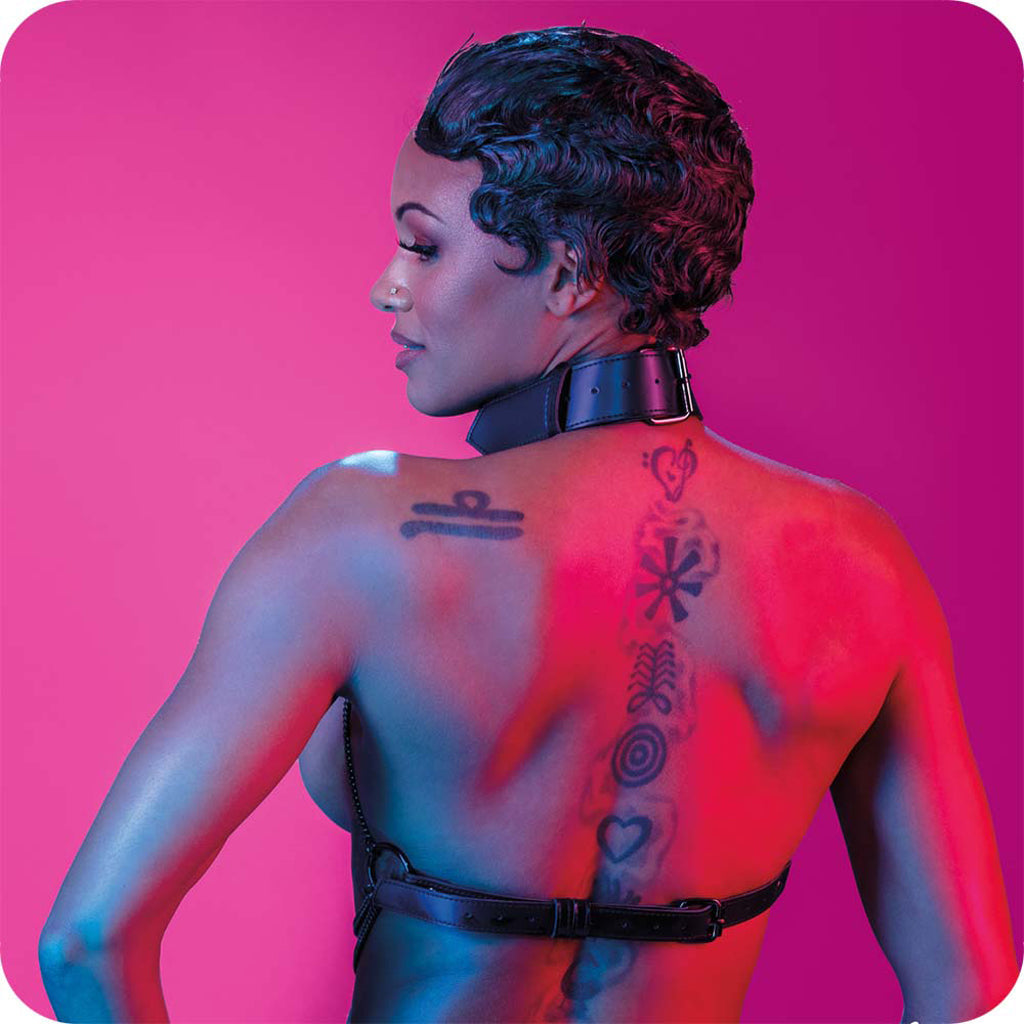 Euphoria Multi Chain Collar Harness Bondage and Fetish > Men's Bondage Wear