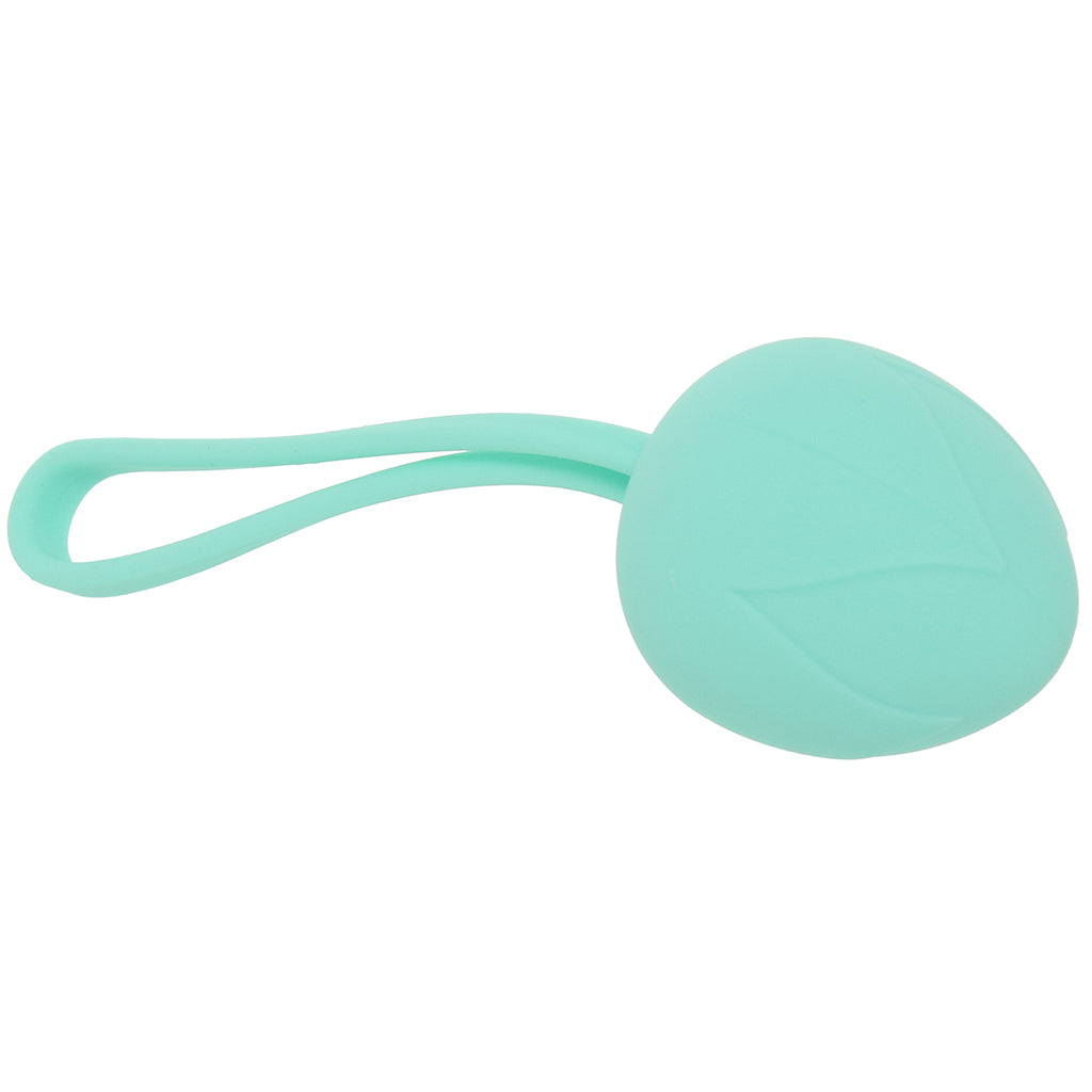 Loveline Pelvifit Berry Kegel Kit Kegel, Ben Wa and Pelvic Health Tools