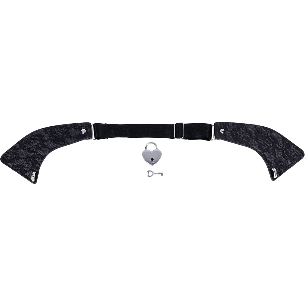 S&M Heartbound Lace Day Collar Bondage and Fetish > Leashes and Collars