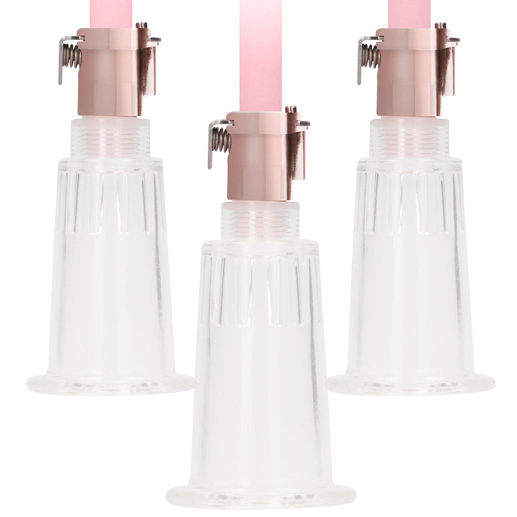 Pumped Rose Gold Clitoral & Nipple Pump Set in Large Bondage and Fetish > Nipple Stimulators & Clamps