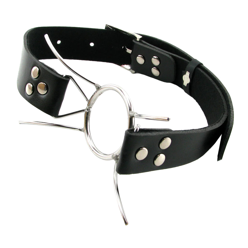 Fetish Fantasy Extreme Spider Gag Bondage and Fetish > Ball Gags & Mouth Restraints