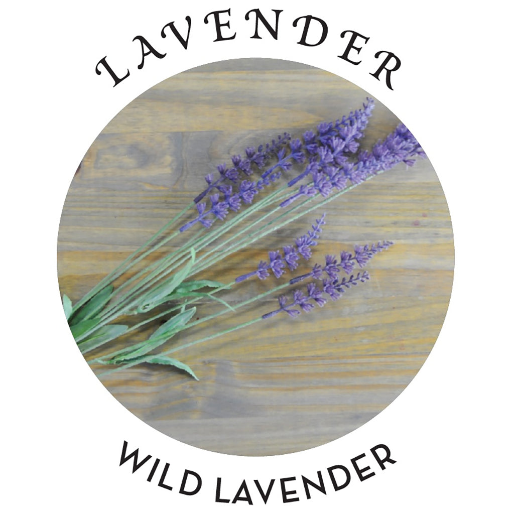 Hemp Seed Tranquility Trio Massage Kit in Lavender Sensual Love > Massage