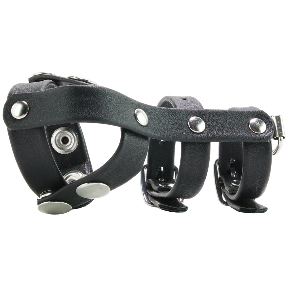Blue Line Double Cock and Ball Strap with Leash Lead Bondage and Fetish > Cock and Ball Devices