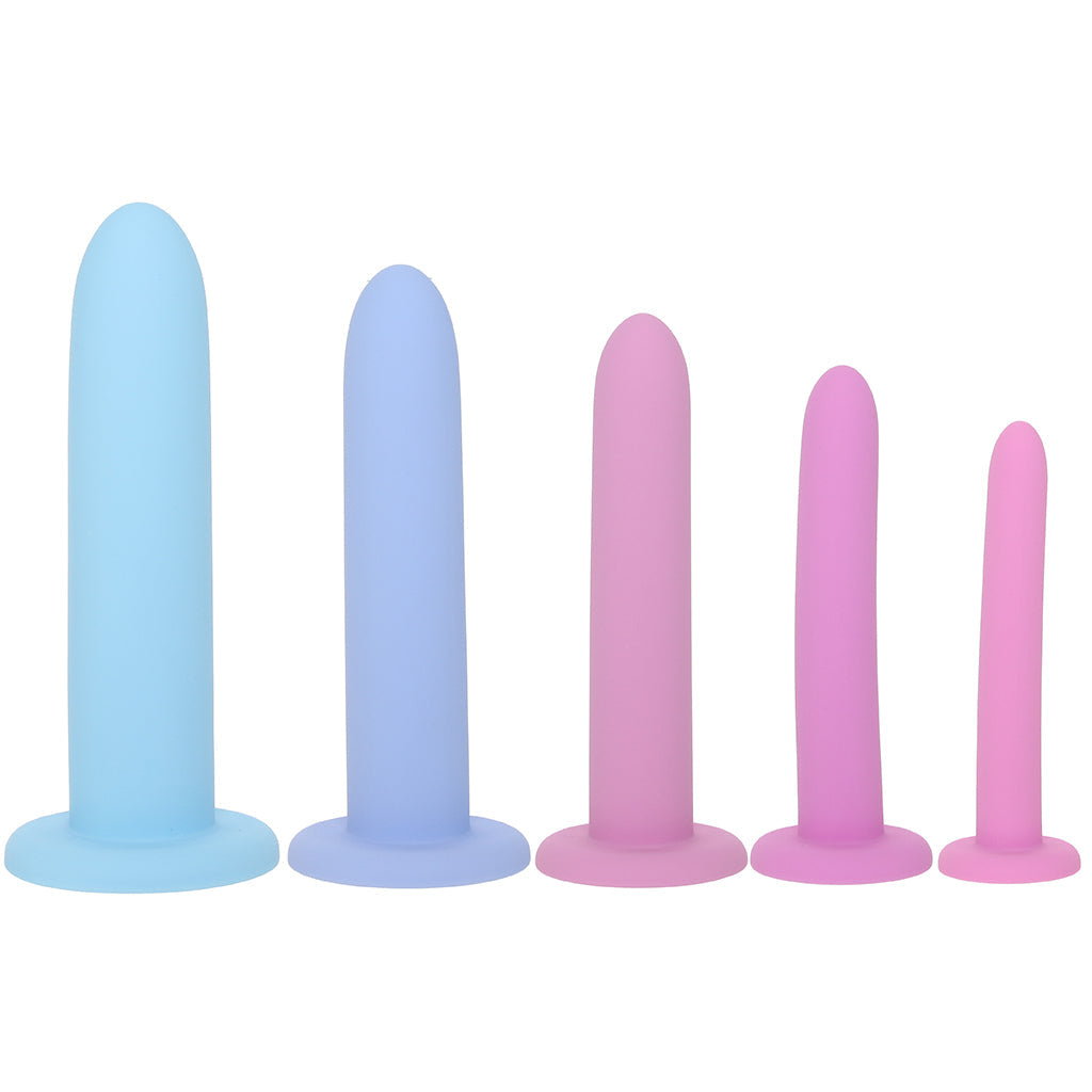 Passion Silicone Pelvic Dilator and Kegel Set Kegel, Ben Wa and Pelvic Health Tools