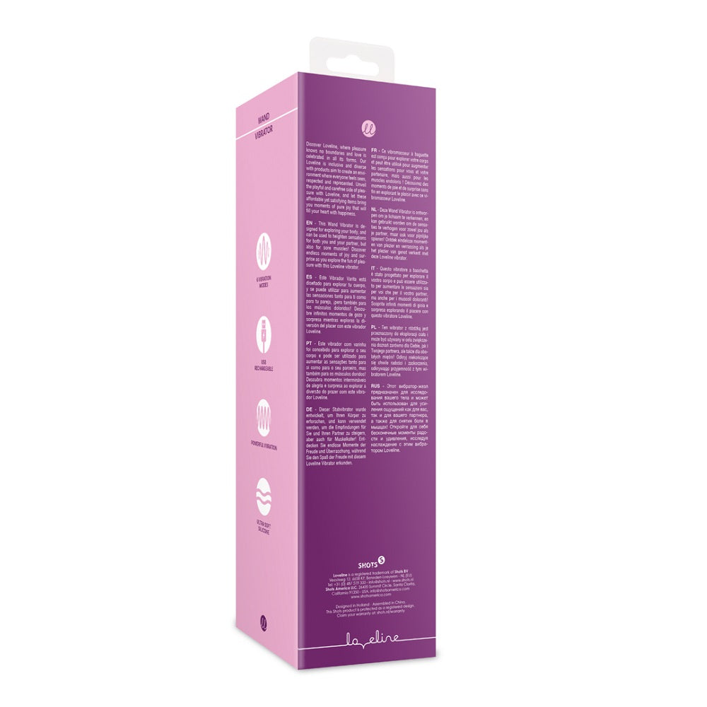 Rechargeable Wand Vibrator – 10 Inch Powerful 6-Speed Vibrator