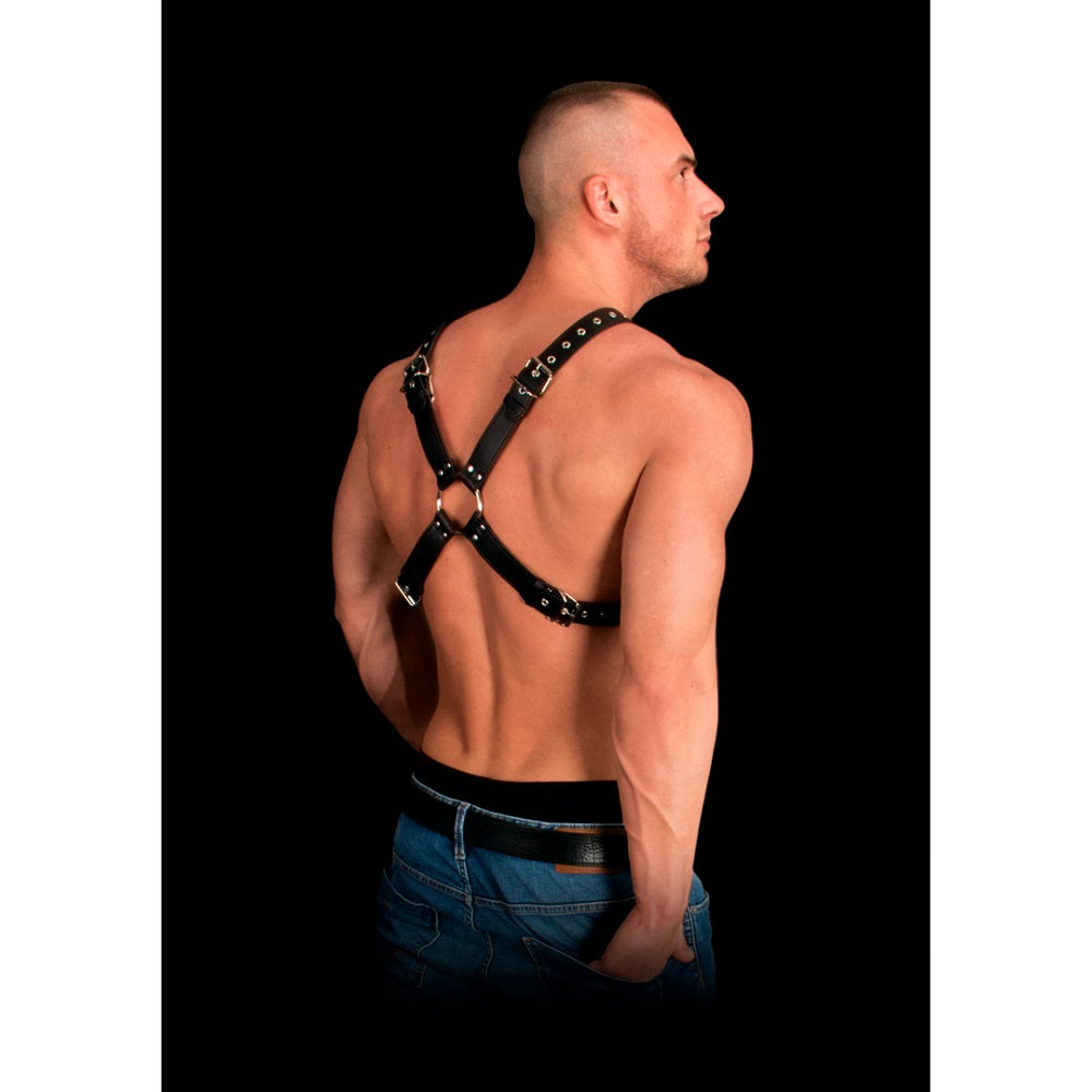 Ouch Adonis High Halter Harness – Bonded Leather Harness