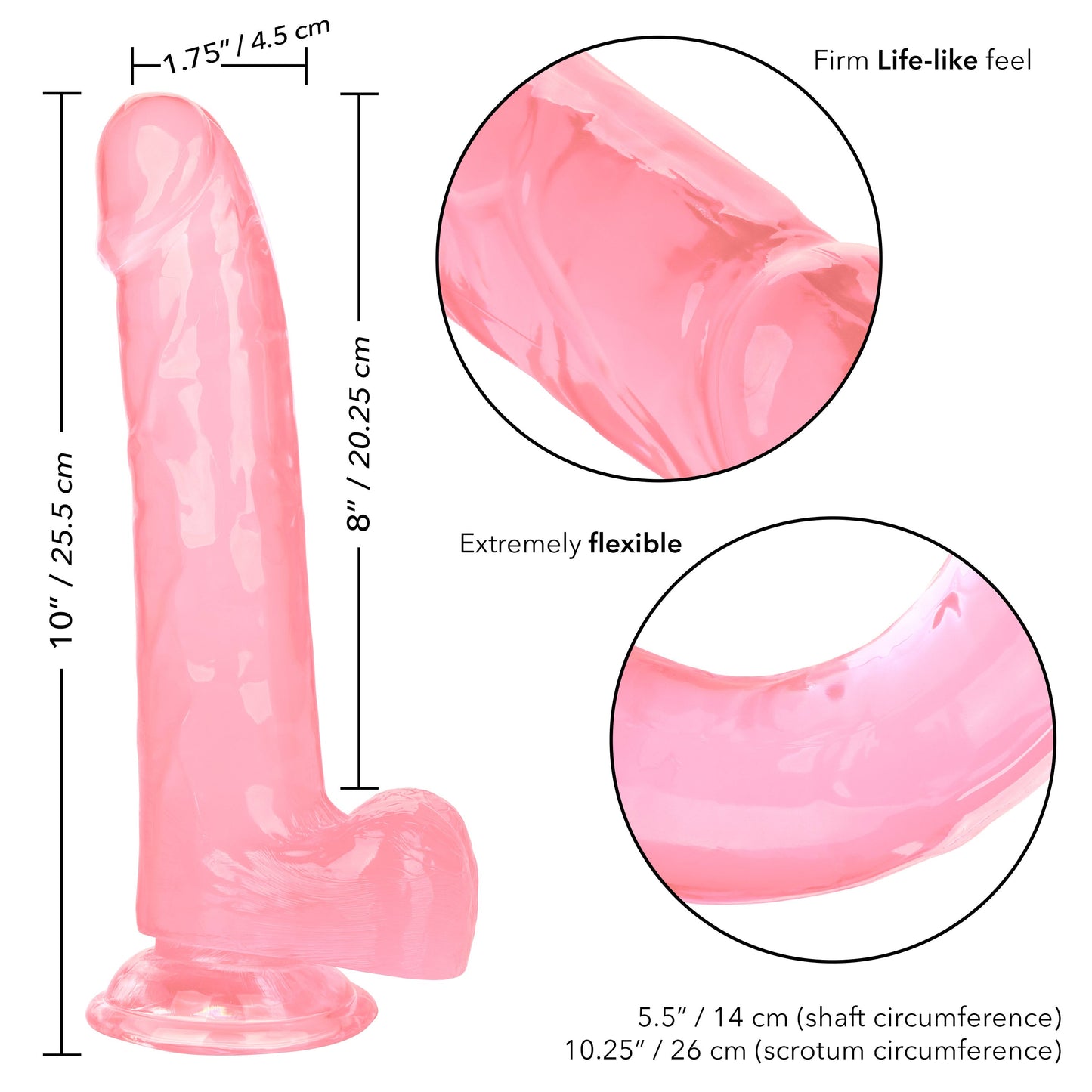 Size Queen 8 Inch Realistic Dong in Ivory